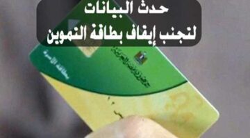 تحديث بطاقة التموين 2022: رابط شغال موقع دعم مصر برقم الموبايل إضافة المواليد الجدد