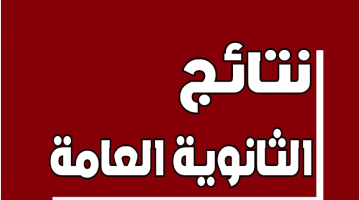 كيفية استخراج نتائج التاسع اليمن برقم الجلوس: “www.moe.gov.ye” عبر الرابط الرسمي لوزارة التربية والتعليم