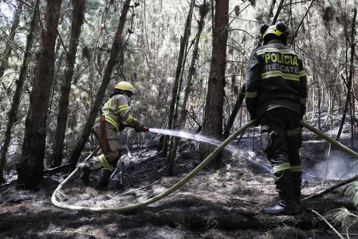 حرائق الغابات في كولومبيا أتت على أكثر من 17 ألف هكتار