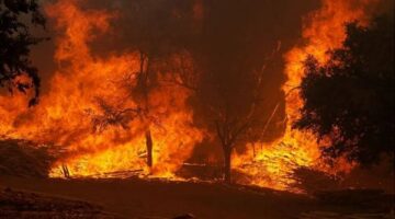 الحرائق تهجر قسرياً مقاطعات بتكساس وتدمر مليون فدان — الطبيعة تذيق أمريكا المرارة فى مكان تهجيرها لقبائل أمريكا الجنوبية