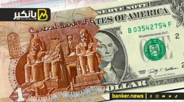 سعر الدولار أمام الجنيه المصري في تعاملات اليوم الإثنين 25-3-2024