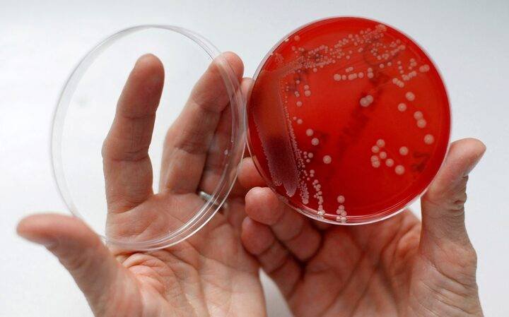 دراسة تحذّر… تغيُّر المناخ يُسهّل انتشار البكتيريا المقاوِمة للمضادّات الحيوية