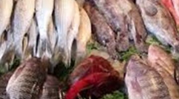 أسعار الأسماك والجمبري اليوم السبت 4 مايو 2024 في الأسواق المصرية