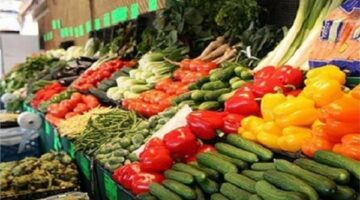 أسعار الخضروات والفاكهة اليوم الاثنين 6 – 5 – 2024 في السوق المصري
