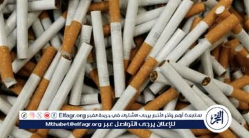 أسعار السجائر اليوم في مصر 2024 بعد الزيادات الأخيرة