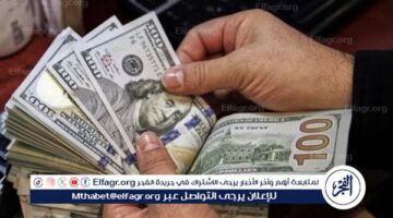 استقرار سعر الدولار في مصر بعد الأعياد والأسباب الرئيسية وراء التطورات الأخيرة