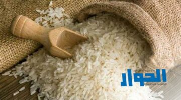 استقرار نسبي.. أسعار الأرز اليوم الثلاثاء 7 مايو في الأسواق