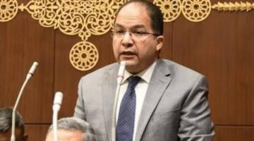 النائب عادل اللمعي: موافقة حركة حماس على المقترح المصري انتصار لجهود القاهرة