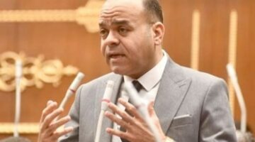 برلماني: لابد من الانصياع لجهود مصر لوقف الحرب في غزة