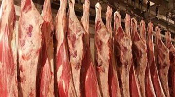 سعر اللحوم في السوق المصري اليوم الاثنين 6