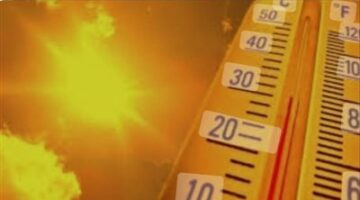 شم النسيم| درجات الحرارة المتوقعة اليوم الاثنين 6 مايو 2024