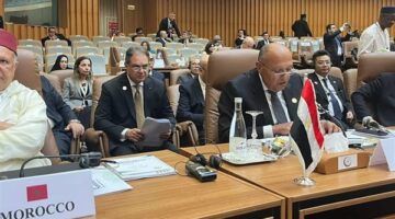 مصر تطالب بوقفة حاسمة ضد أوهام تصفية القضية الفلسطينية