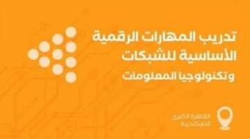 وزارة الشباب تعلن فتح التقديم لبرنامج التدريب على المهارات الرقمية بالقاهرة والإسكندرية